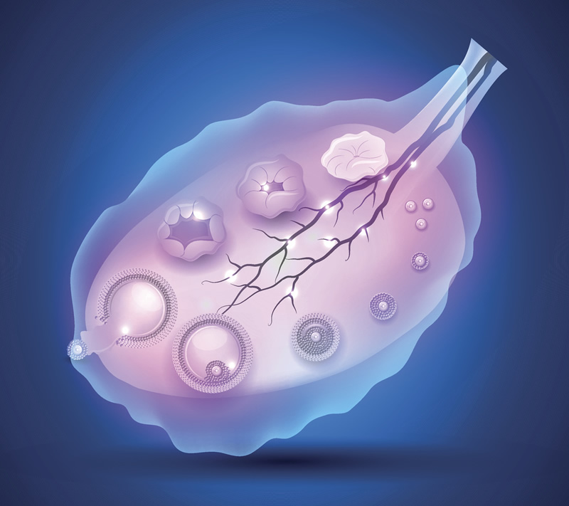 2026年石家庄试管婴儿医院排名前三强与高医生名单、费用详情一览